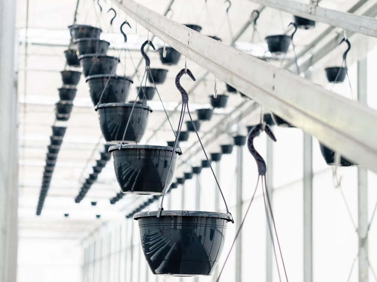 Demokas-02-1600px-Metazet