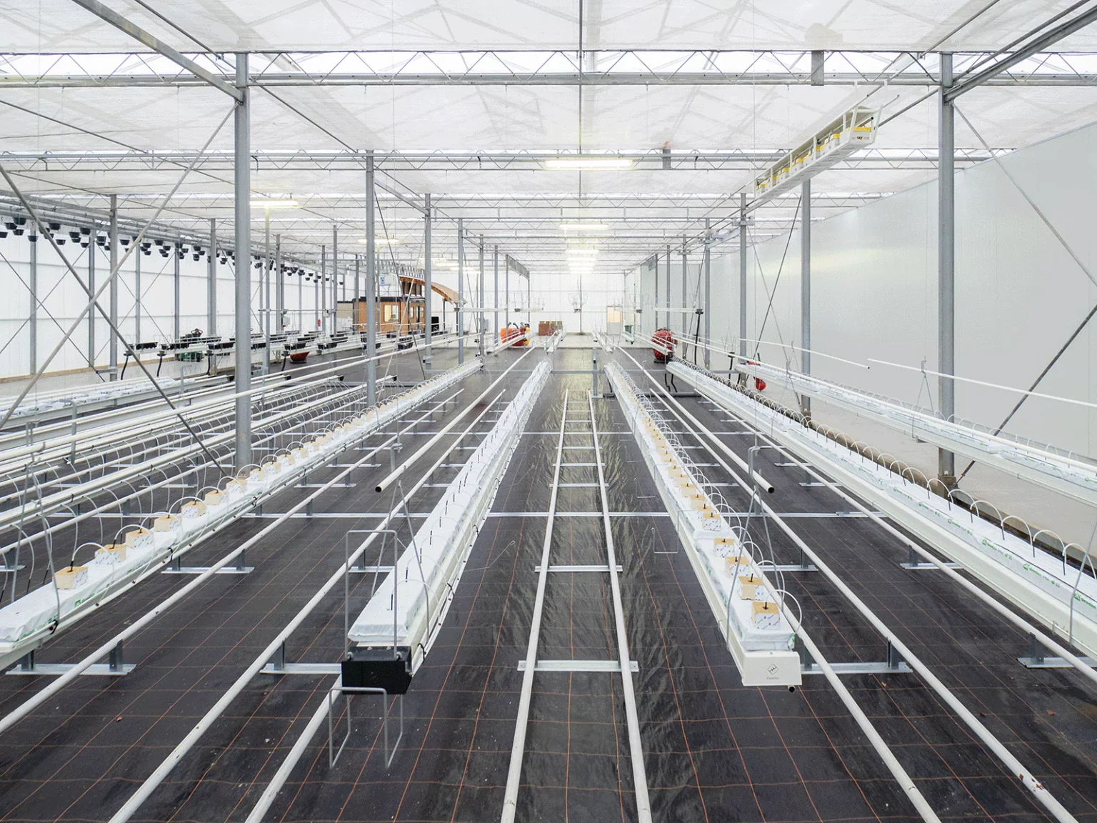 Demokas-04-1600px-Metazet