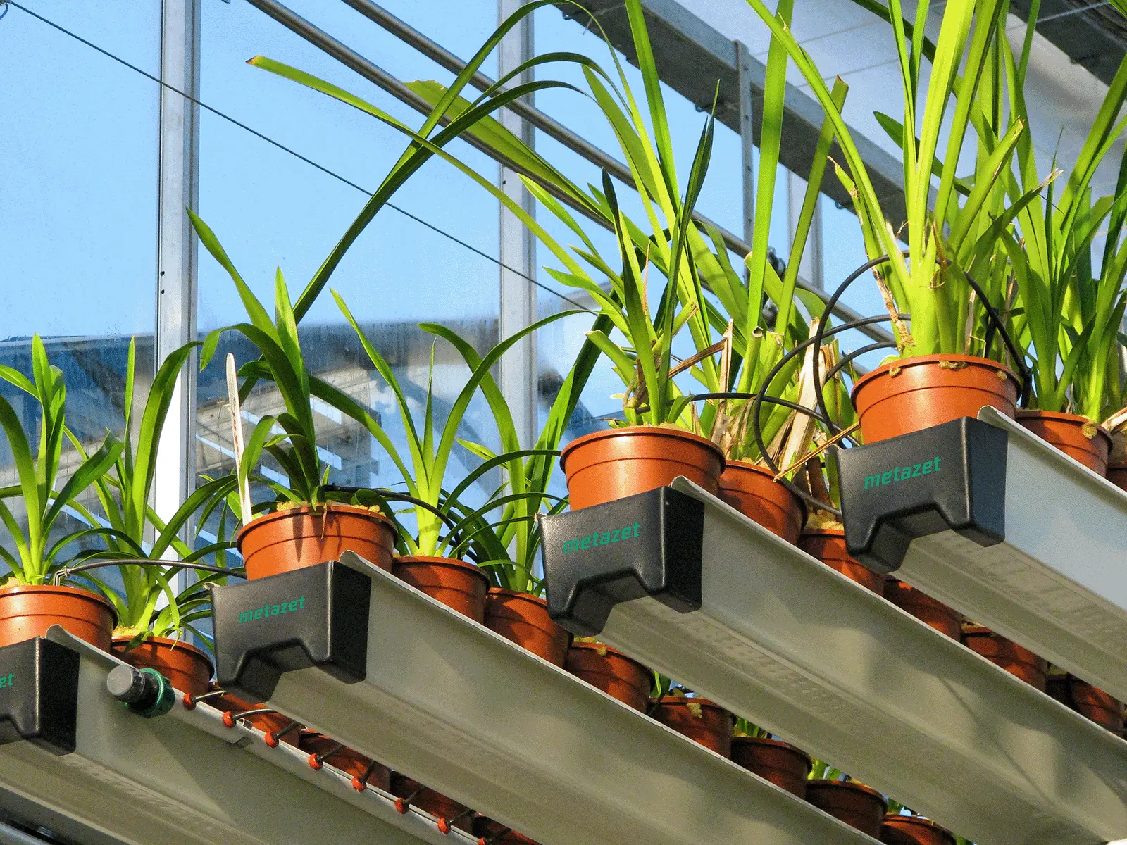 Formflex Cultivation Chutes Metazet