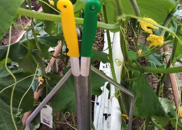 Bio buisrailsteunen kopstengelbeugel magneet meshouder